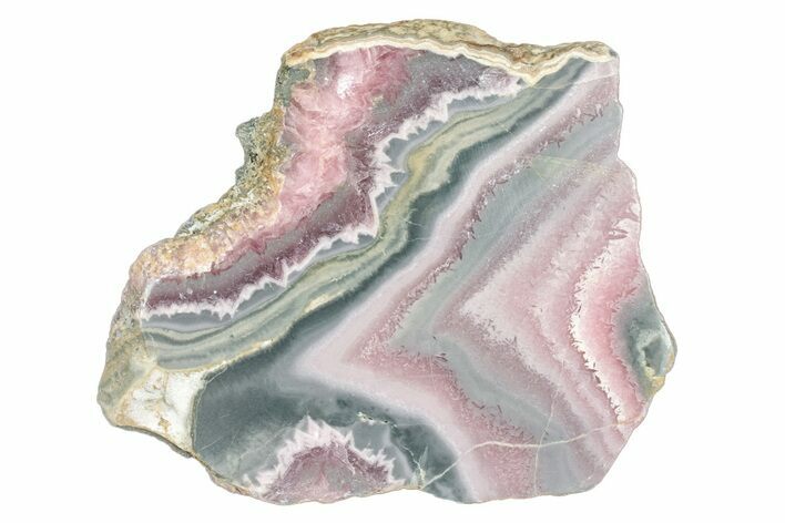 Polished Banded Rhodochrosite Slab - Argentina #264685